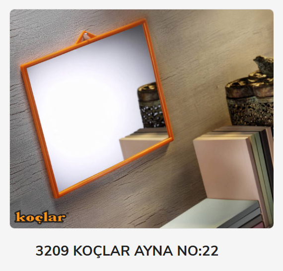 3209 Koçlar Ayna No:22