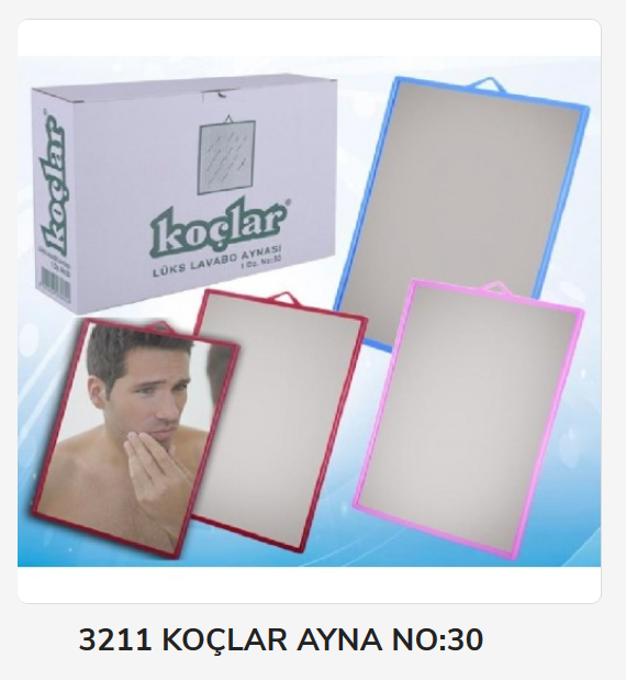 3211 Koçlar Ayna No:30