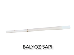 02809   Gürgen Balyoz Sapı