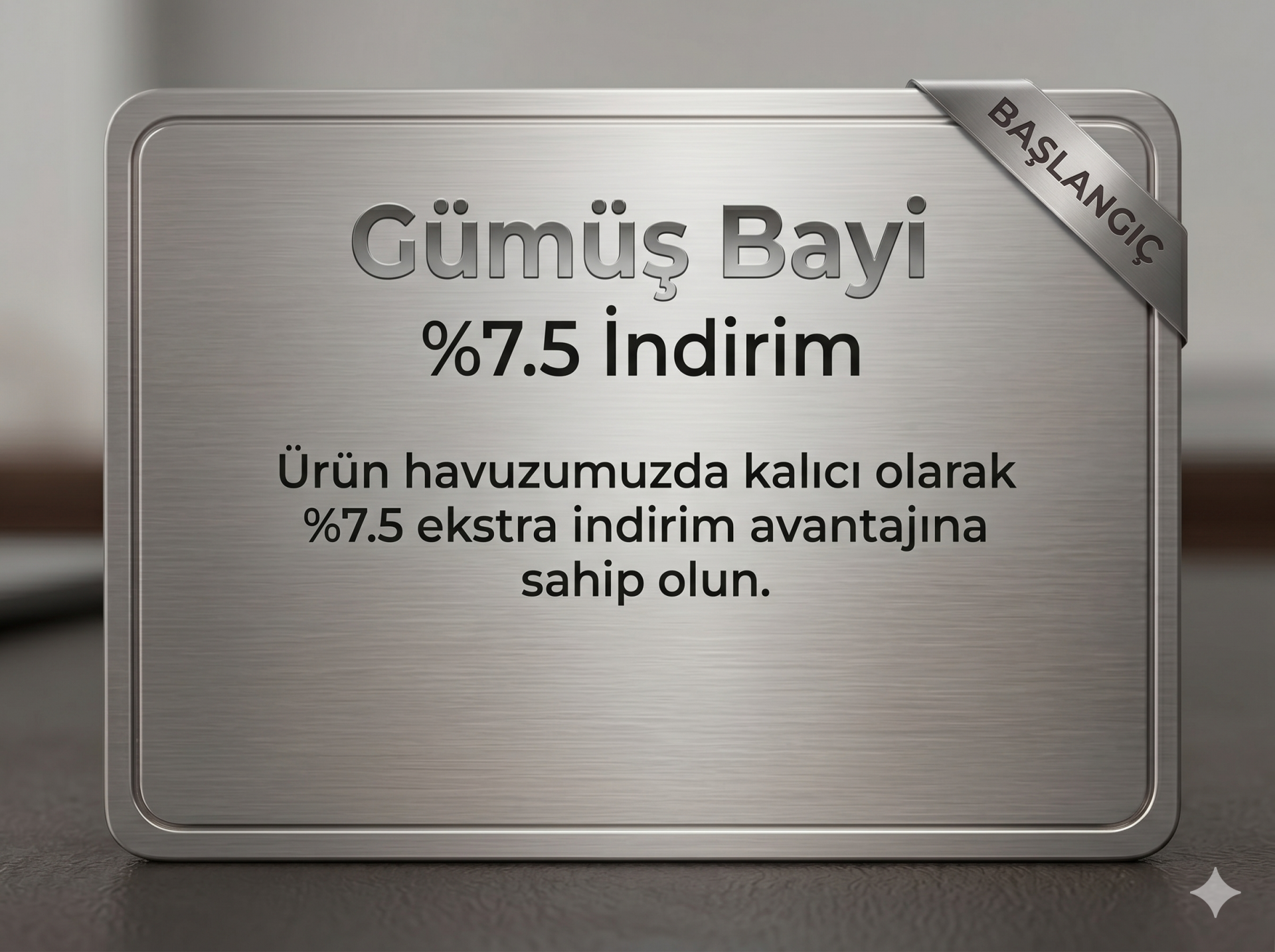 Gümüş Bayi Paketi