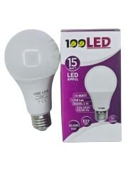 L15   100 Led E27-15W Led Ampul
